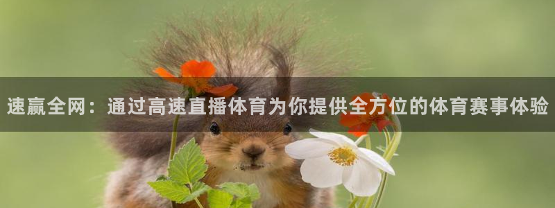 速赢全网：通过高速直播体育为你提供全方位的体育赛事体验